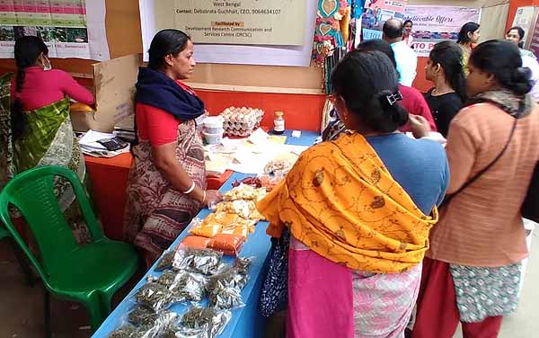 Photo gallery - Recent activities in field area
