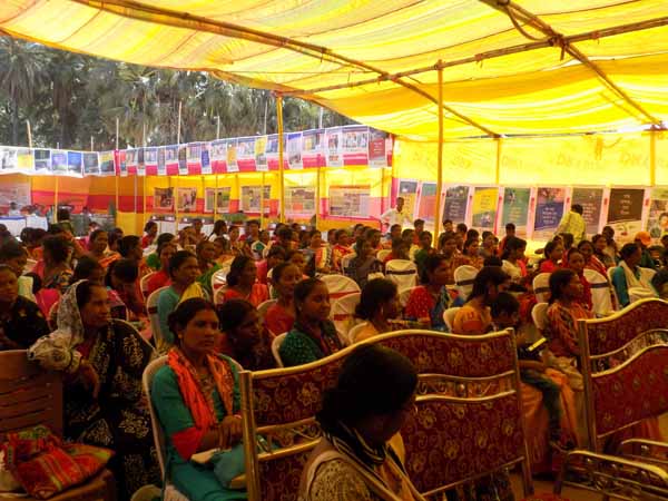 Photo gallery - Recent activities in field area