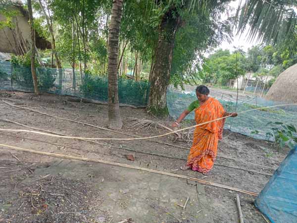 Photo gallery - Recent activities in field area