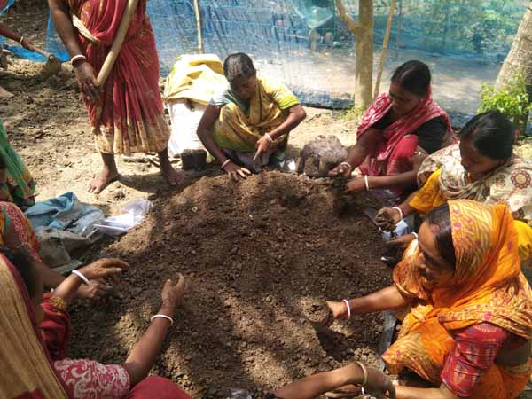 Photo gallery - Recent activities in field area