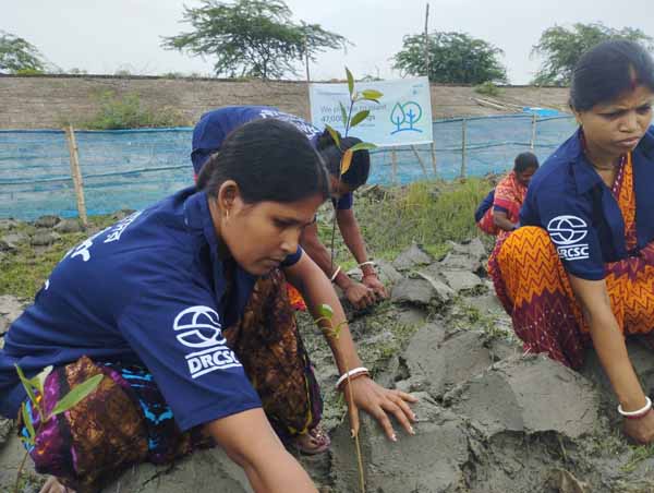 Photo gallery - Recent activities in field area