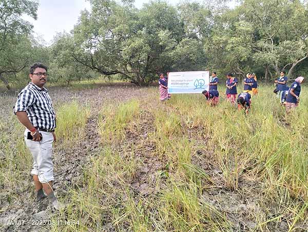 Photo gallery - Recent activities in field area