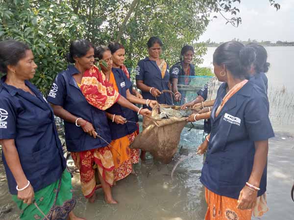 Photo gallery - Recent activities in field area