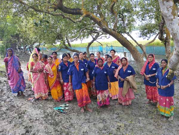 Photo gallery - Recent activities in field area