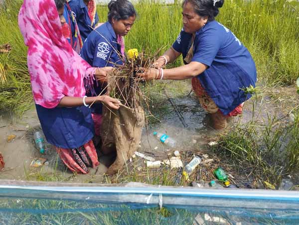 Photo gallery - Recent activities in field area