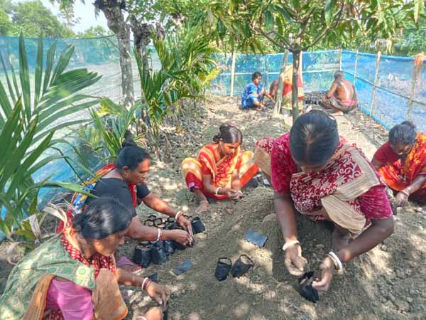 Photo gallery - Recent activities in field area
