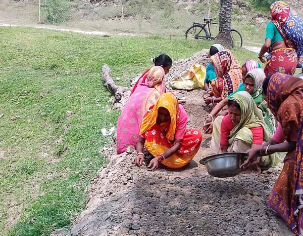 Photo gallery - Recent activities in field area