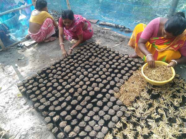 Photo gallery - Recent activities in field area