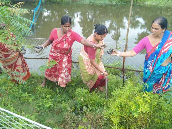Photo gallery - Recent activities in field area
