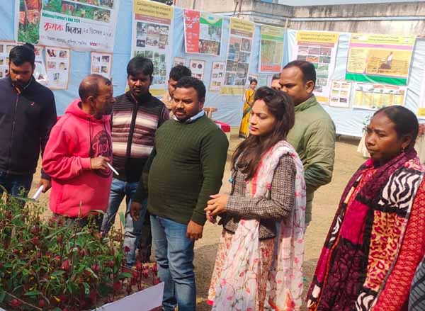 Photo gallery - Recent activities in field area