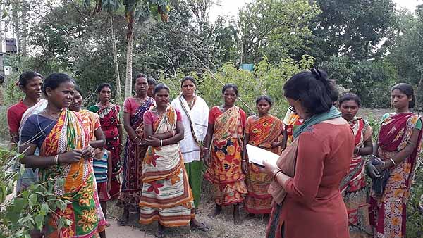 Photo gallery - Recent activities in field area