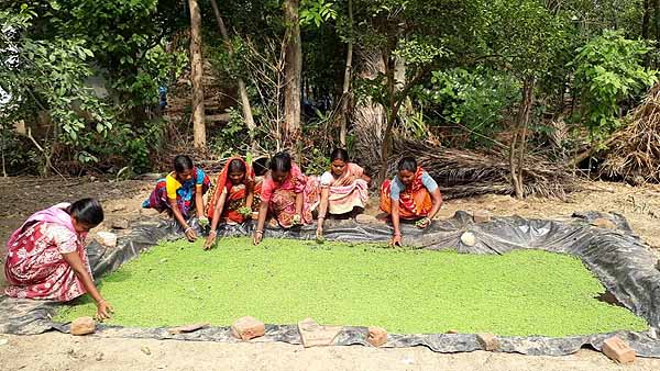 Photo gallery - Recent activities in field area