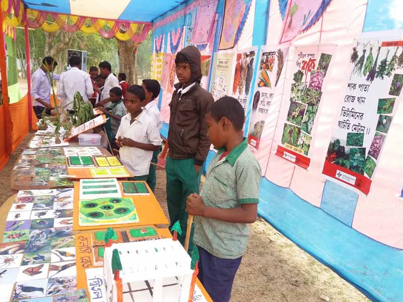 Photo gallery - Recent activities in field area