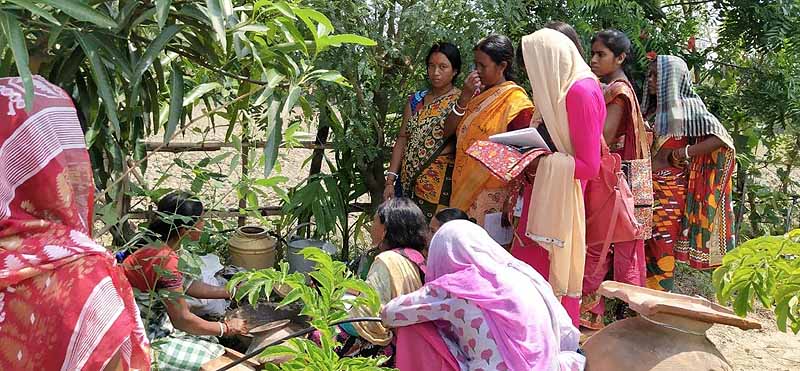 Photo gallery - Recent activities in field area