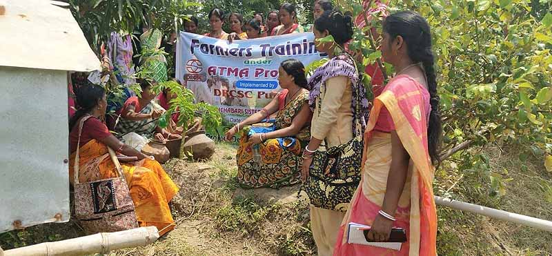 Photo gallery - Recent activities in field area
